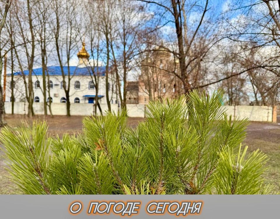 ��������� �����: 14 ������� � ���������� ��������� ������ ����� �� 12 ������ � �������, ������ ������������