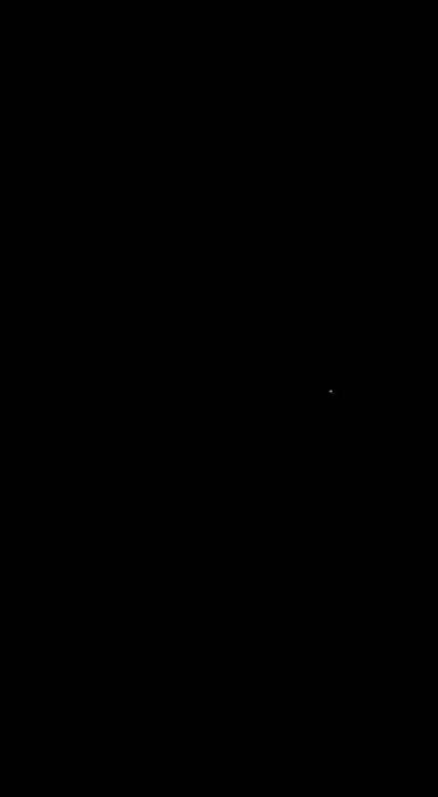 Славянск под атакой Гераней!