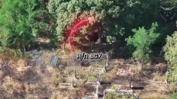 ������ �� ����������. �� ��� ���� �� ������, ��� ��� ����������� ���� ���� �� ����� ������� �� ���� ������ ���, � ���������� ������������� ���� ���������� � ��������������� �������������� ����� ���� ���