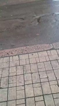 Даниил Безсонов: Как-то пропустил. Недавно по Донецку провезли украинских военнопленных