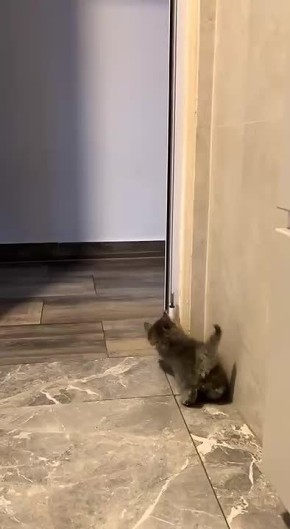 Этого чёрного и мы не ожидали