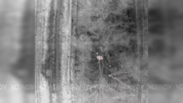 ������������� ����������� (���)