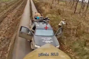 «Гуляйполе пало». В рядах ВСУ началась истерика из-за поражений