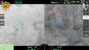 �� ���������� �������� �������� ���������� ������������ ����������� ������ ��������