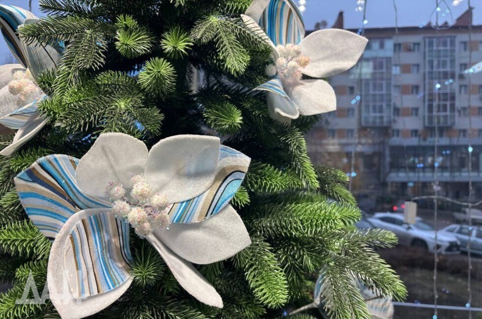 Дончанам предложили выбрать самые новогодние магазины и рестораны