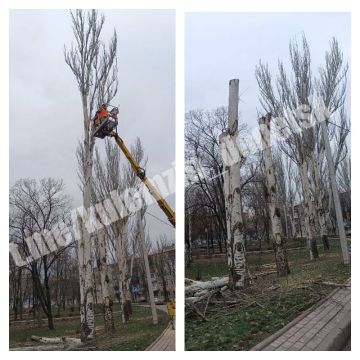  :           , ,    ,   