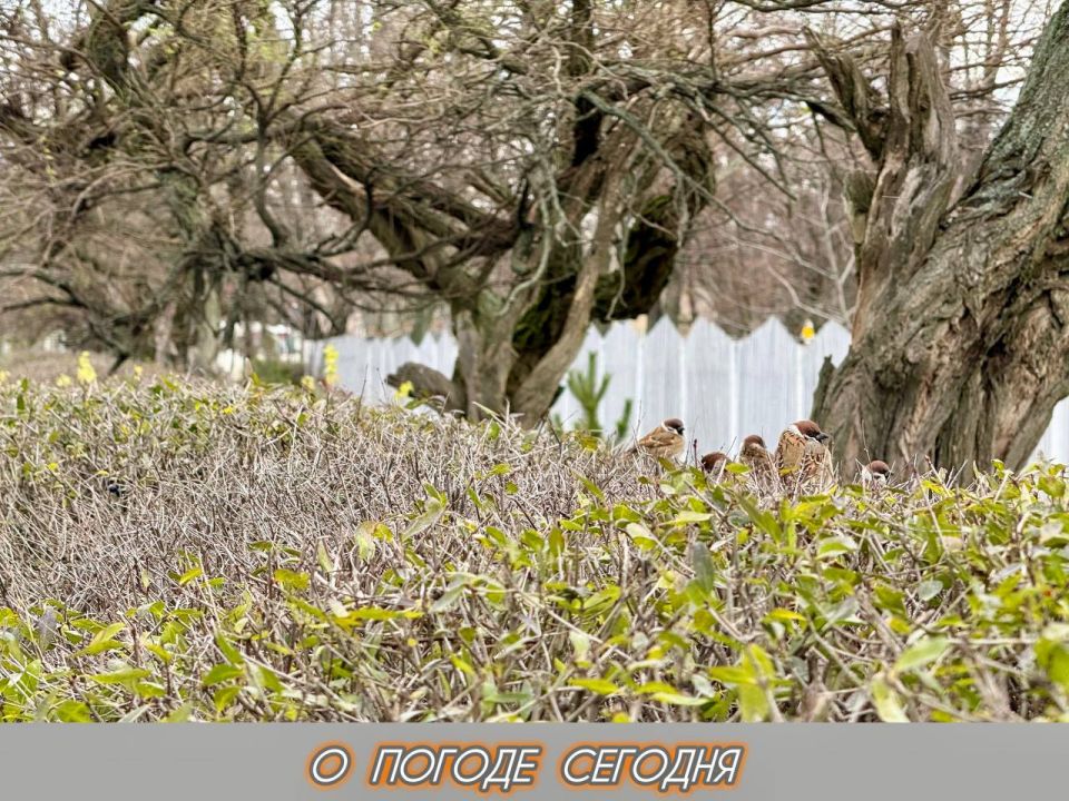 ��������� �����: 15 ������� � ���������� ������� � ������������, ��������� ������ ����� �� 9 ������ � �������, �������� ����, �� ������� ����������