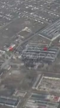 ��� ������: ���������, ���������������� �����������