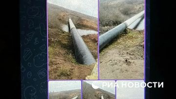 Эдуард Басурин: В Липецкой области и ДНР ФСБ РФ пресекла преступные планы украинских спецслужб, которые пытались использовать несовершеннолетних в качестве орудия террора