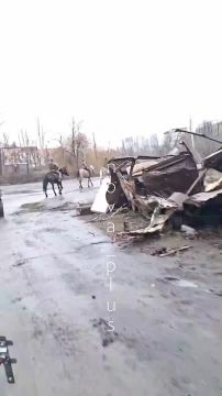 Три кавалериста Русской армии в Покровске