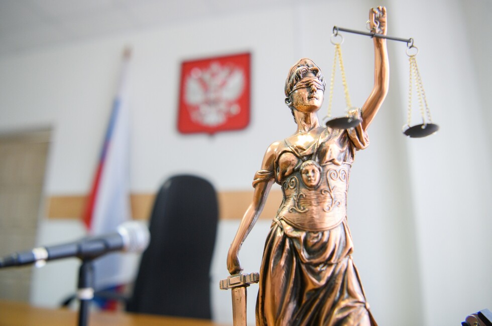 Безответственная мать из Снежного задолжала 1,2 млн рублей алиментов шестерым детям