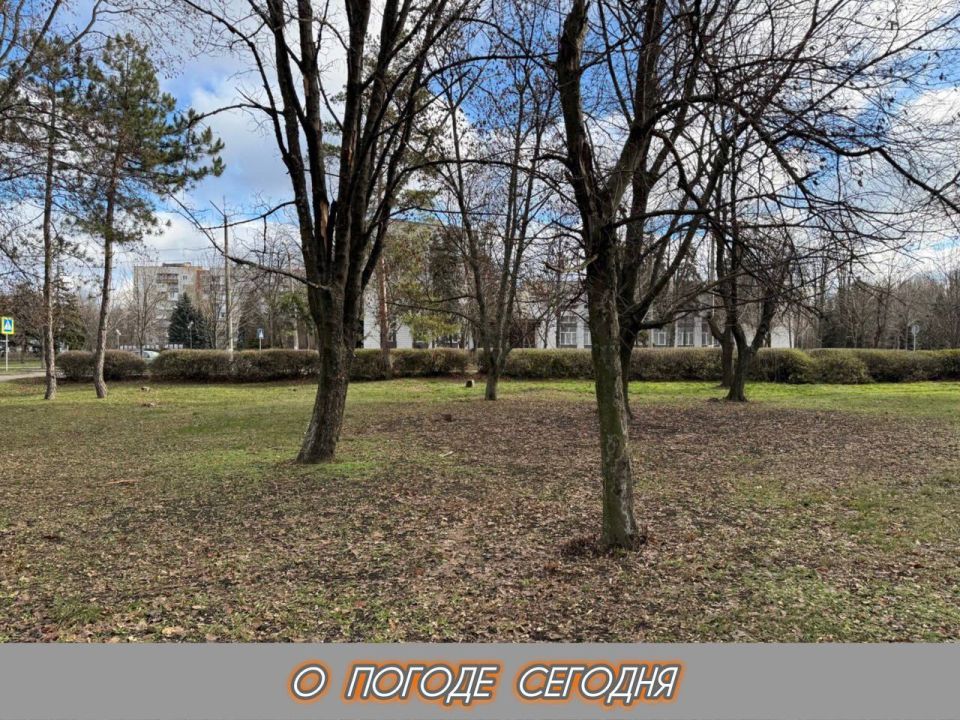 ��������� �����: 16 ������� � ���������� ������� � ������������, �������� ����, �� ������� ����������