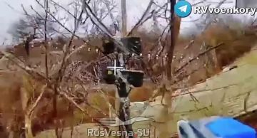 «тважные» штурмуют окружённый Мирноград и наступают в Днепропетровской области