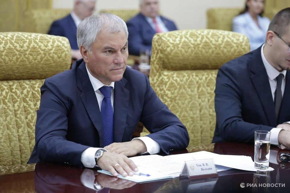 Володин рассказал об интеграции новых регионов в правовое поле