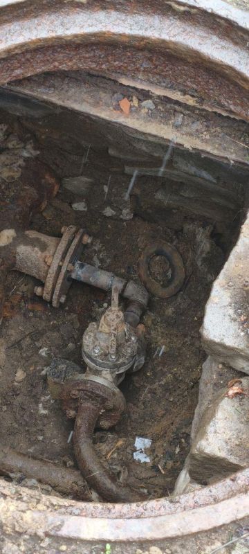 ����� �����: ������������� ��������� ������� ���������� ������ ����� � ��������� � ���������