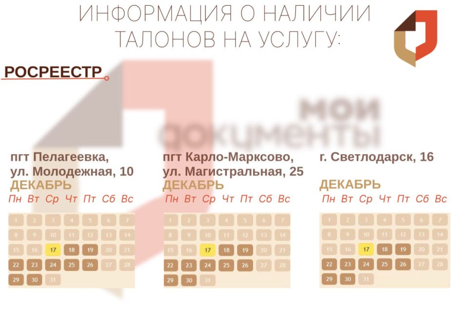 Актуальная информация о наличии талонов в разных отделениях МФЦ