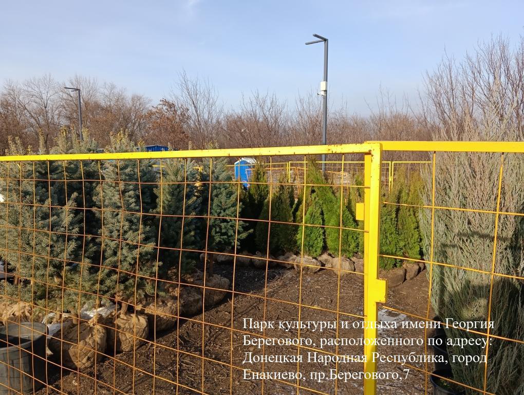 Мониторинг хода работ по благоустройству