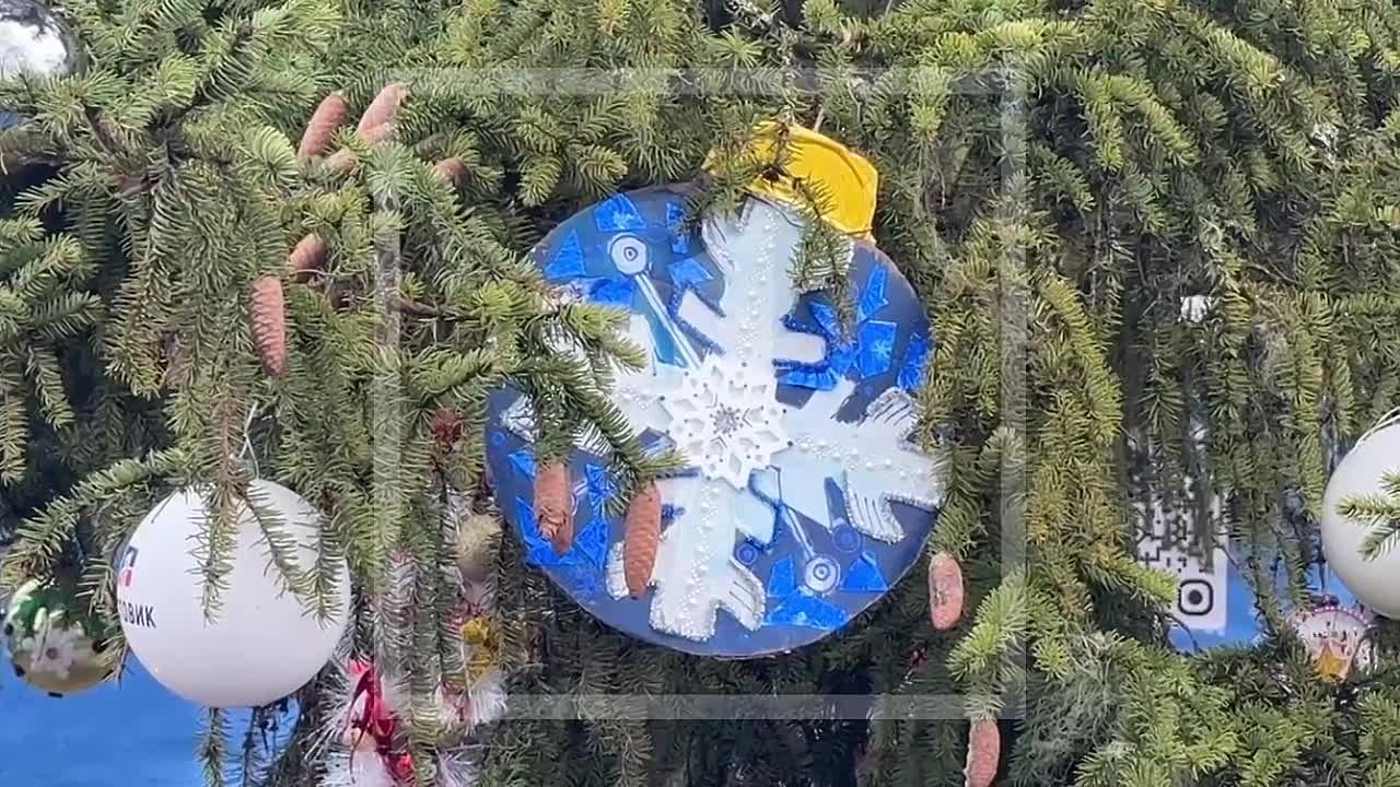 Новогодняя красавица в Макеевке