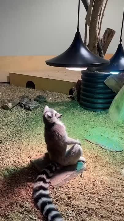 С добрым утром, Мариуполь!