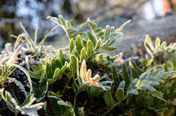 �������� ��� ������� ����� ������ ���� ��� �������� � ���� ������ �� �� ������