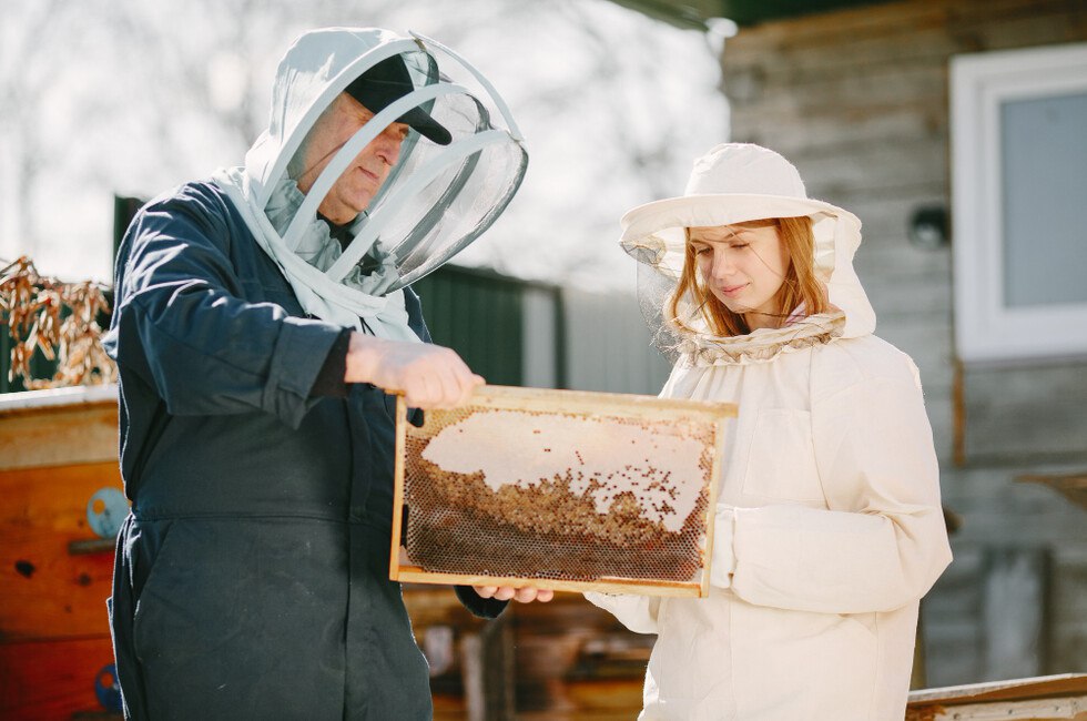 В ДНР намерены развивать пакетное пчеловодство