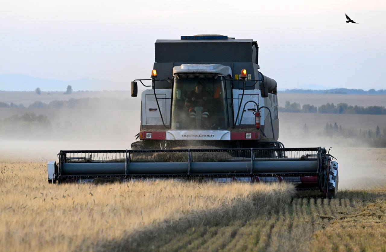 Программа льготного лизинга для предпринимателей в новых регионах продлена до конца 2026 года