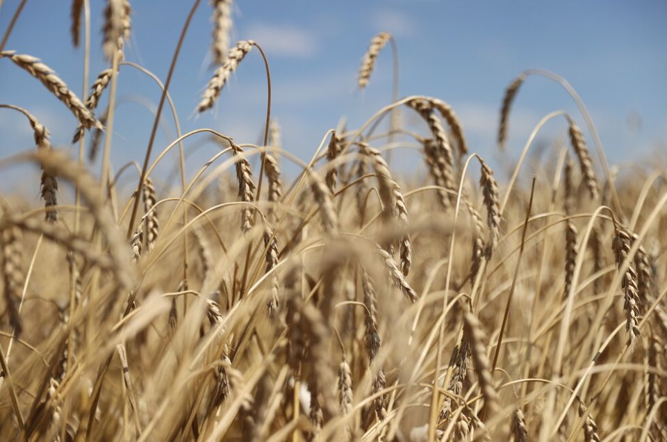 ����������� �������� �� ����� �������� �����������. ������