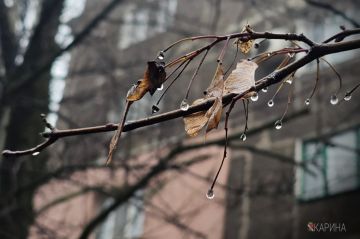 Удачного дня!. #НашОкруг #ЕнакиевоВобъективе #ТалантыЕнакиево