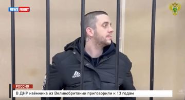 В ДНР наемника из Великобритании приговорили к 13 годам
