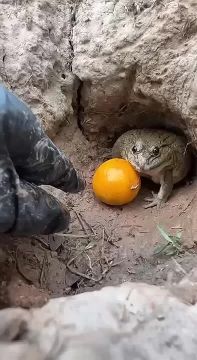 ������ �� ��� ����� ����� �����: