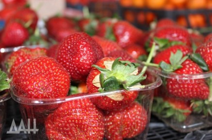 ���������� � �������: ������, ������� �� ����� ��������