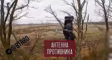 ����������� ����� ��������� � ���������������� ������� � �������� ��������