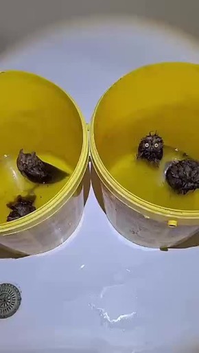 �������, �� ������� �� ������ ����, ��� ���� ���