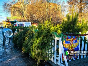 ���������� ���� � �������: ������� ����� ������� ������ ���������