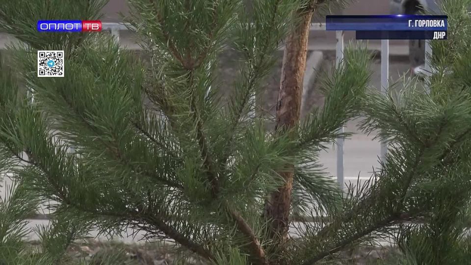 � �������� ������ �������� ������� ������