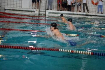 ������� ������: �������� ������ ���� ������������ ������� ����������� ��������������� ������������