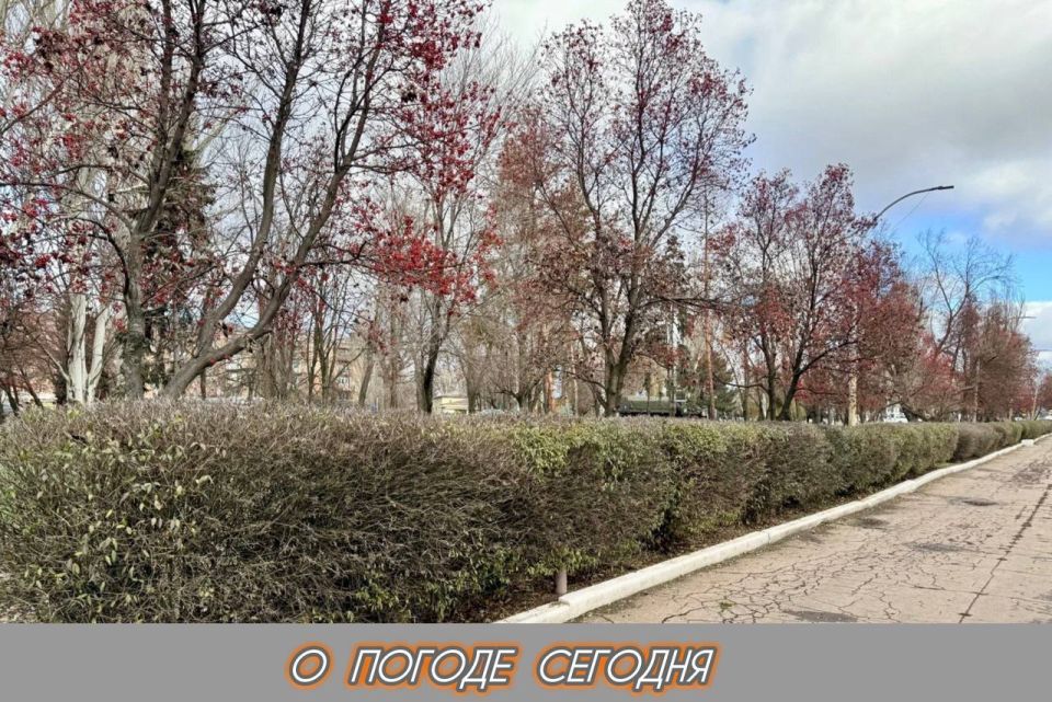 ��������� �����: 19 ������� � ���������� ������� � ������������, �����, �� ������� �������, ������ ����� �� 6 �� 8 ������ � �������