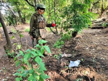 ��� ������: #���������_������� 6 ����� ������� ���� 42 ���, 291 ����, ��� ������������ ���� ��������� ������ �����