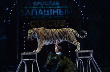 ��� ������ �� ����� � � ������� �� ����������� � ��������� ������� � ��������