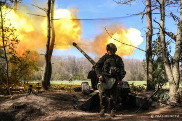 ВСУ потеряли свыше 265 боевиков в зоне действия "Юга" за сутки