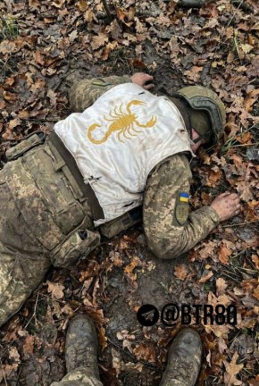 "���������, ������!" �������� ����� ����������� �������� ����������� ���������