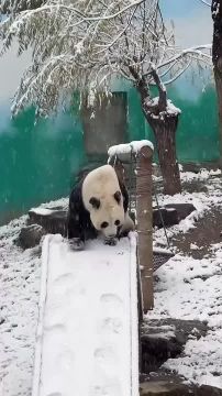 ������ ��, ��� ��� �����, ���������� ����� � �������� � �����