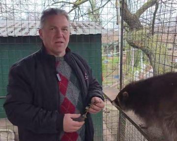 ������ ������� ����� ������ ������ ����� � ����