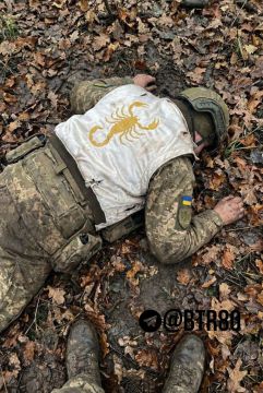 "Работайте, братья!" показали кадры результатов зачистки окруженного Димитрова