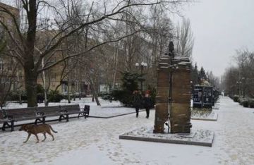 Снег, туман и гололедица ожидаются в ДНР 22 декабря