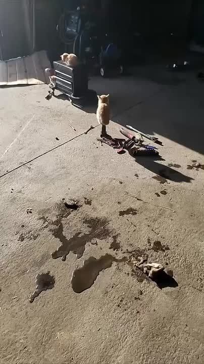 �� ���, �����������. ���� �� ������!