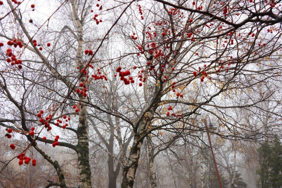 Желаем всем продуктивной рабочей недели и хорошего дня!