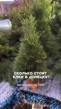 �� 300 ������ � ����: ������� ������ ������������ � ������� �� ��� ����