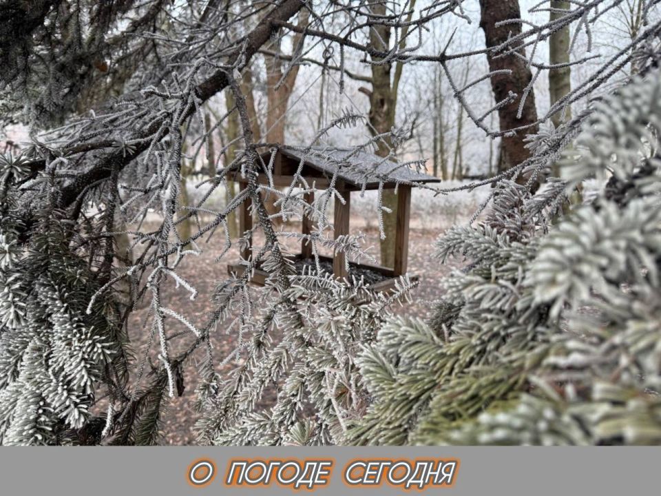 ��������� �����: 22 ������� � ���������� ������� � ������������, �����, �� ������� �������, ��������� �������������� ������ � ���� �����, ������ ����� �� 9 ������ � �������