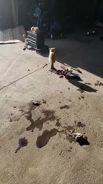 �� ���, �����������. ���� �� ������!